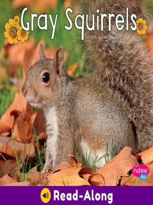 cover image of Gray Squirrels